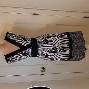 AA Studio AA Zebra and Polka Dot Dress Size 10 EUC!